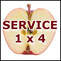 service1x4