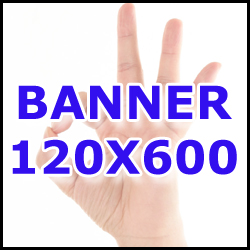 1 banner statico dalle dimensioni tradizionali di pixel 120x600 di tipo "Skyscraper"